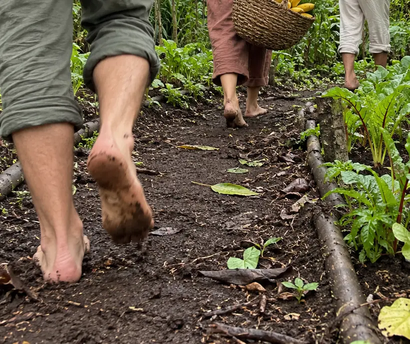 Bare feet walking along a soft earth path through the garden, a basket of bananas ahead