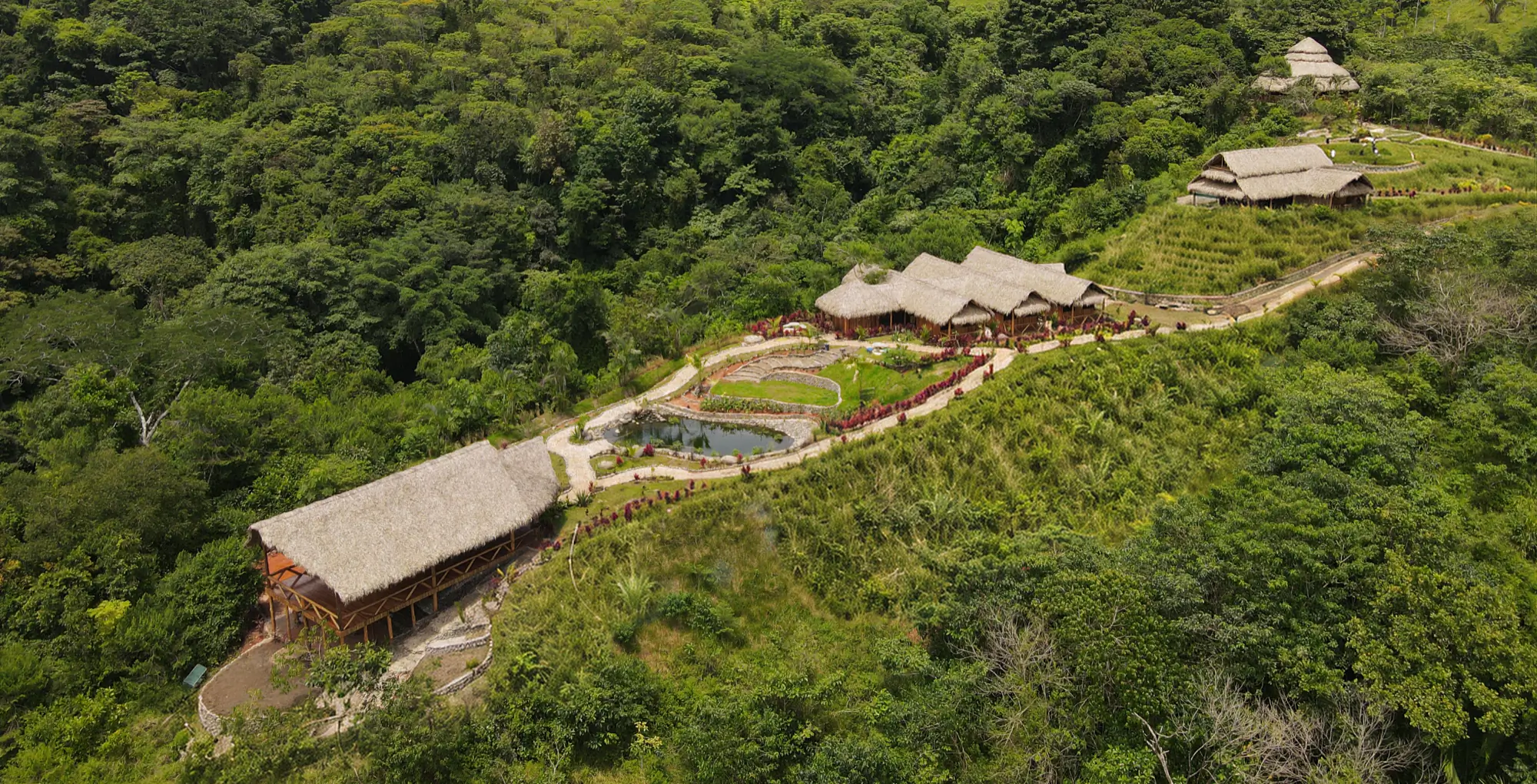 Aerial view of the property — canopy, river, cabins just visible
