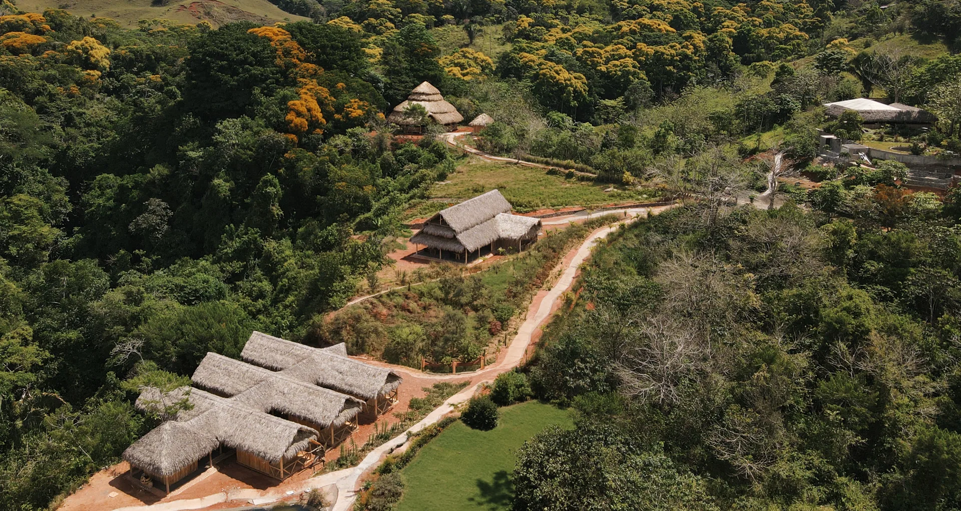 Aerial view of the property — canopy, river, cabins just visible