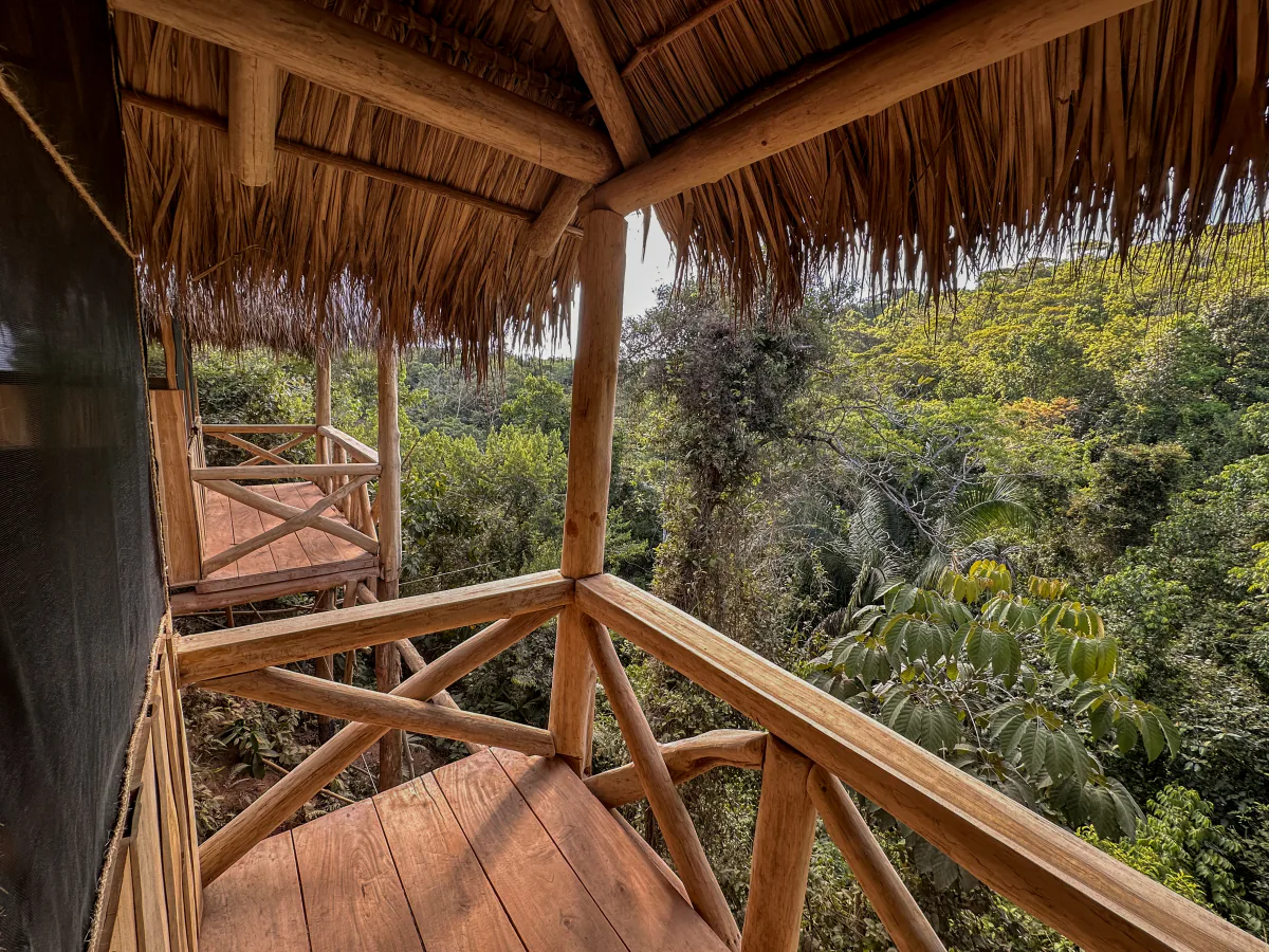 Cabin balcony opening onto the rainforest