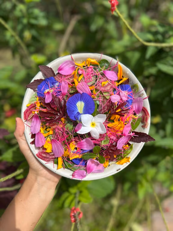 A shared meal dressed with flowers