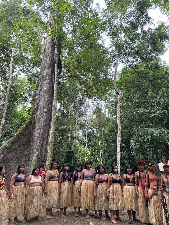 Indigenous women standing in a line at the foot of a giant rainforest tree