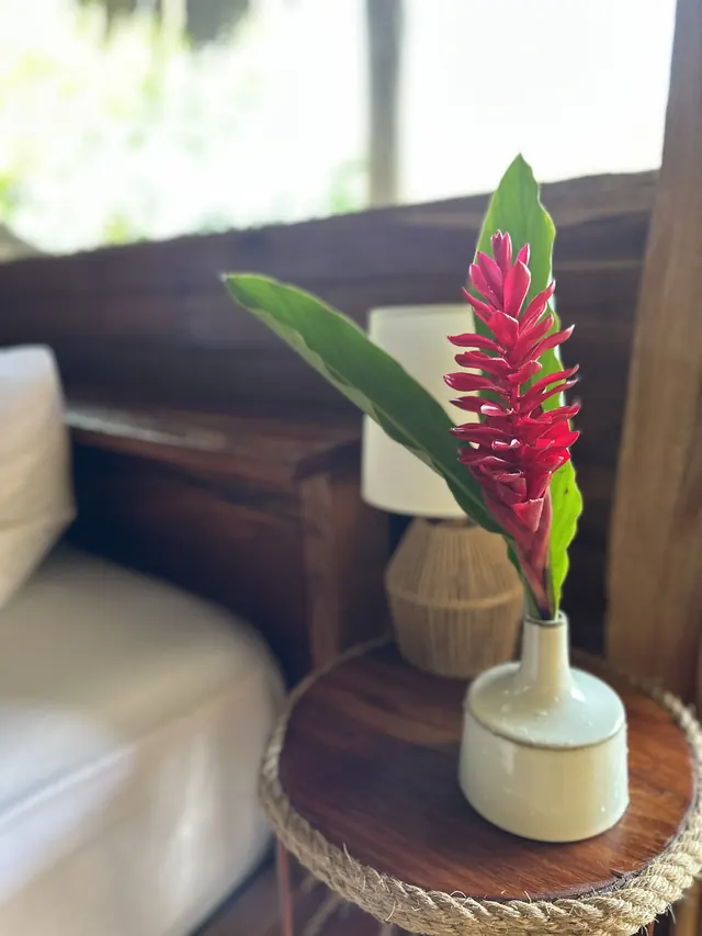A red ginger flower beside the bed