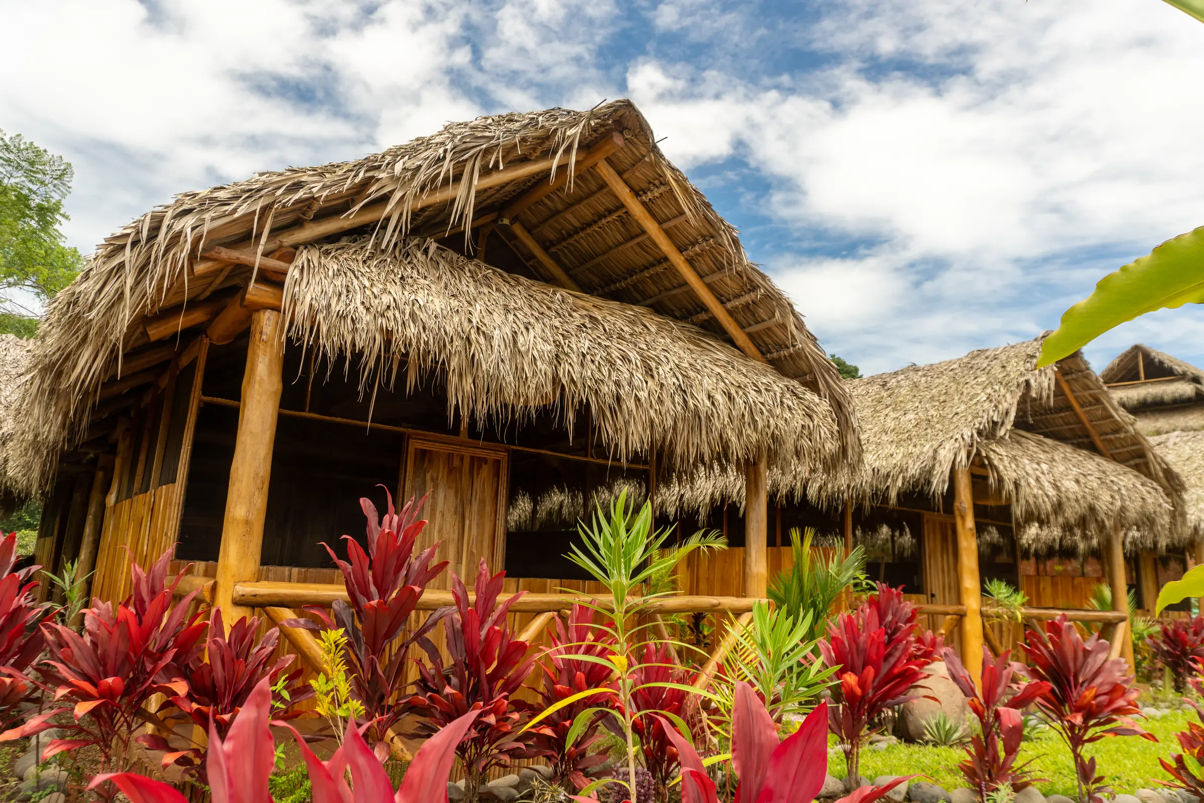 Cabins with thatched roofs among red tropical plants