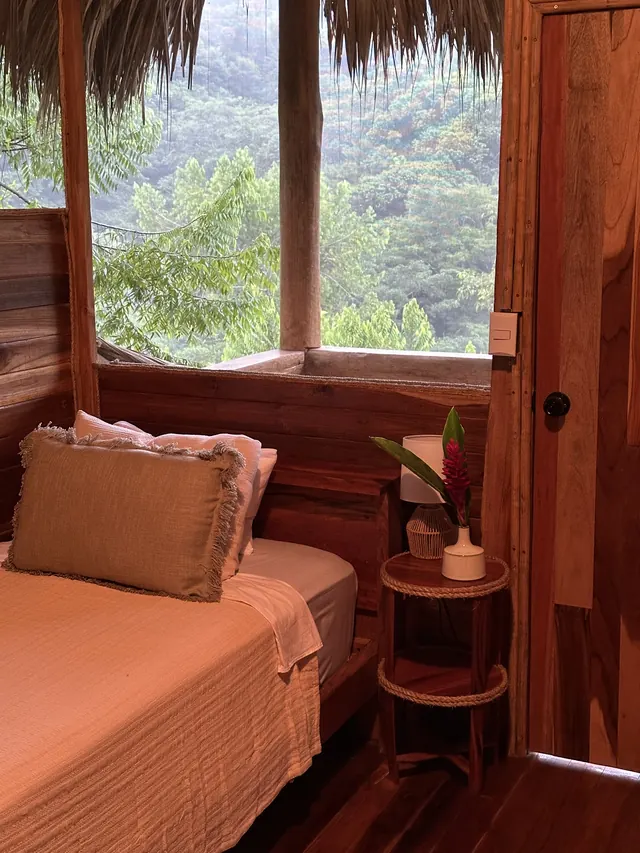A cabin room with a view of the forest