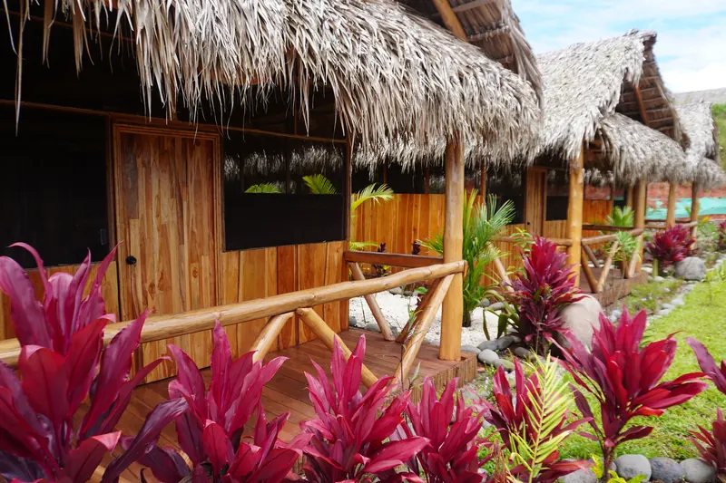 Cabins in a row, with red plants along the path