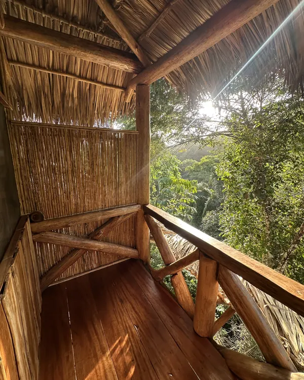 Cabins with thatched roofs among red tropical plants