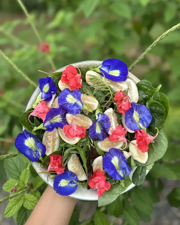A bowl of salad with butterfly pea flowers, from the garden
