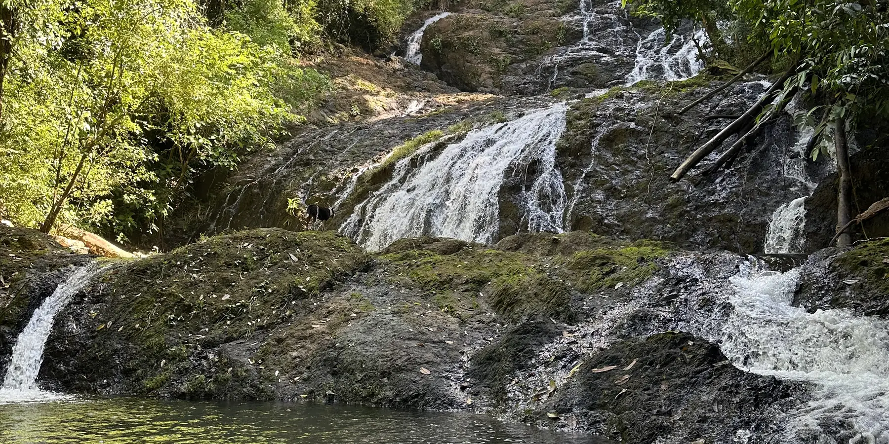 A waterfall on the land