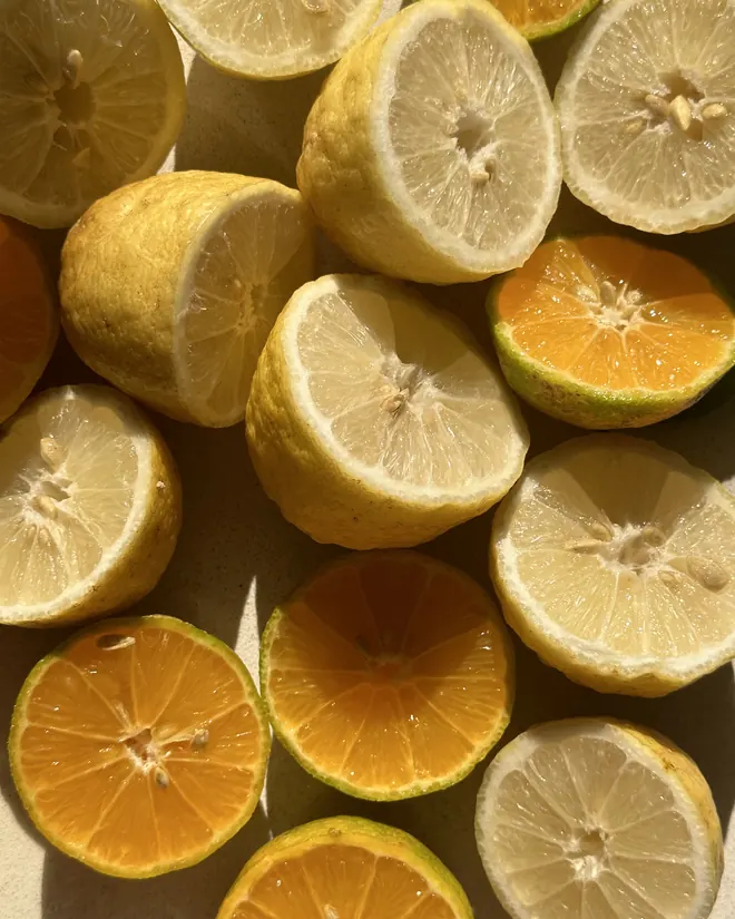 Lemons cut open
