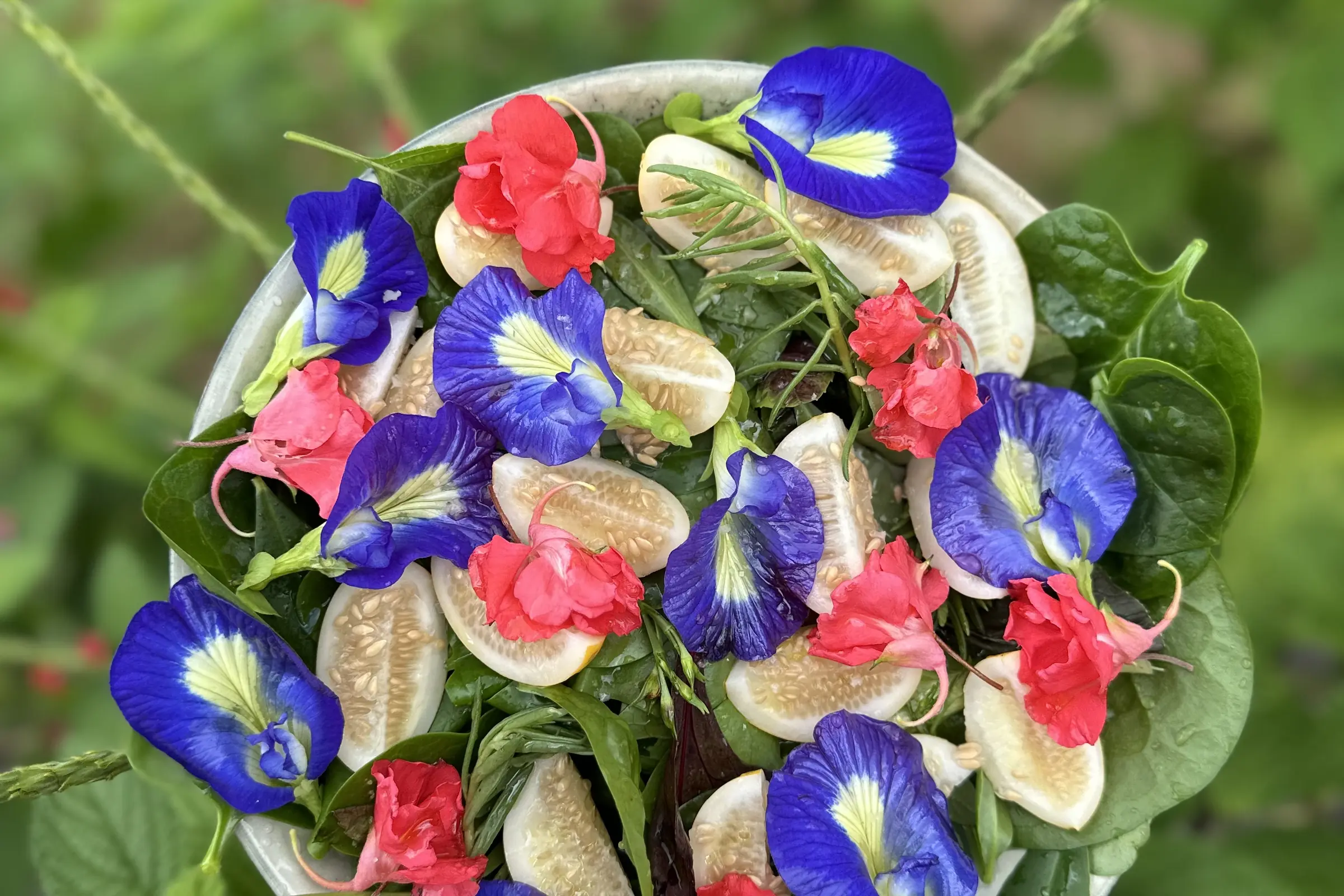A salad with butterfly pea flowers, held up in the garden