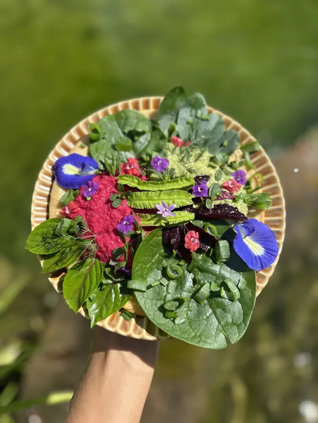 A salad of greens and edible flowers
