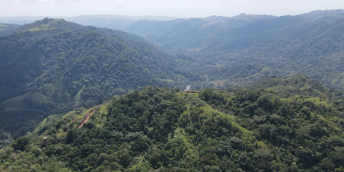 The valley and the rainforest under a wide sky
