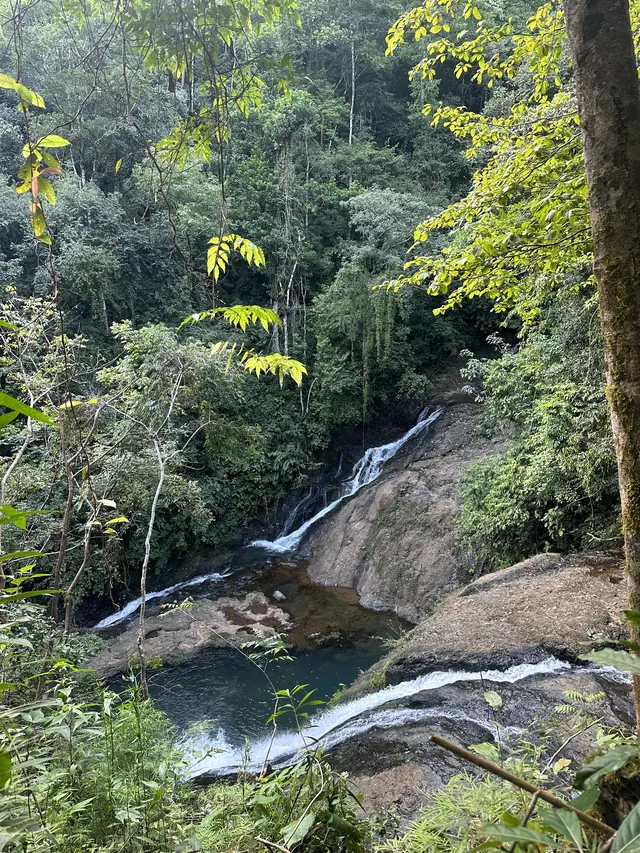 A waterfall seen from above, through the trees