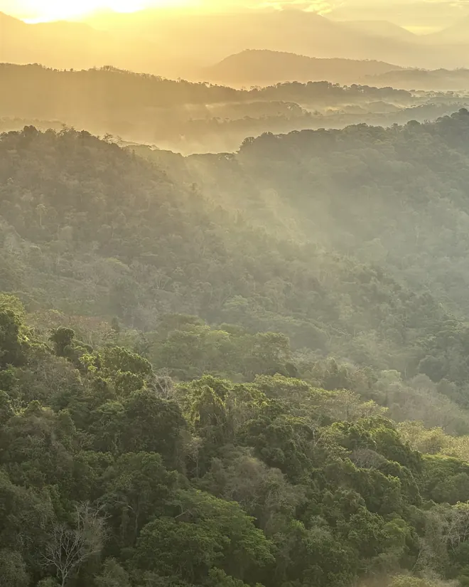 Morning light over the forested hills