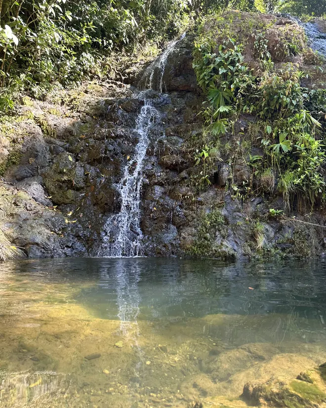 A thin waterfall falling into a clear pool
