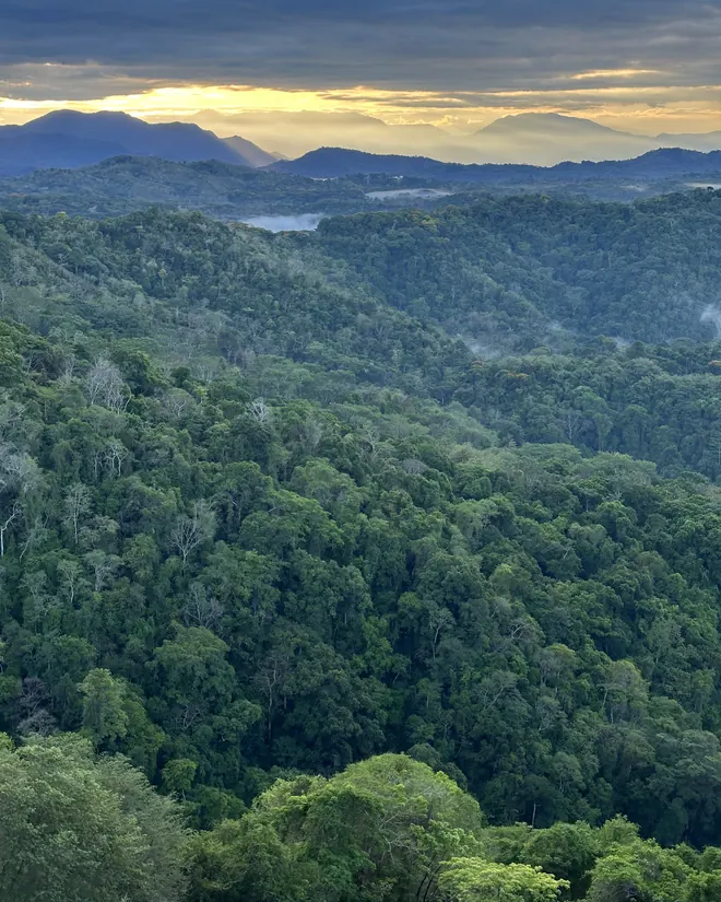The rainforest valleys at sunset