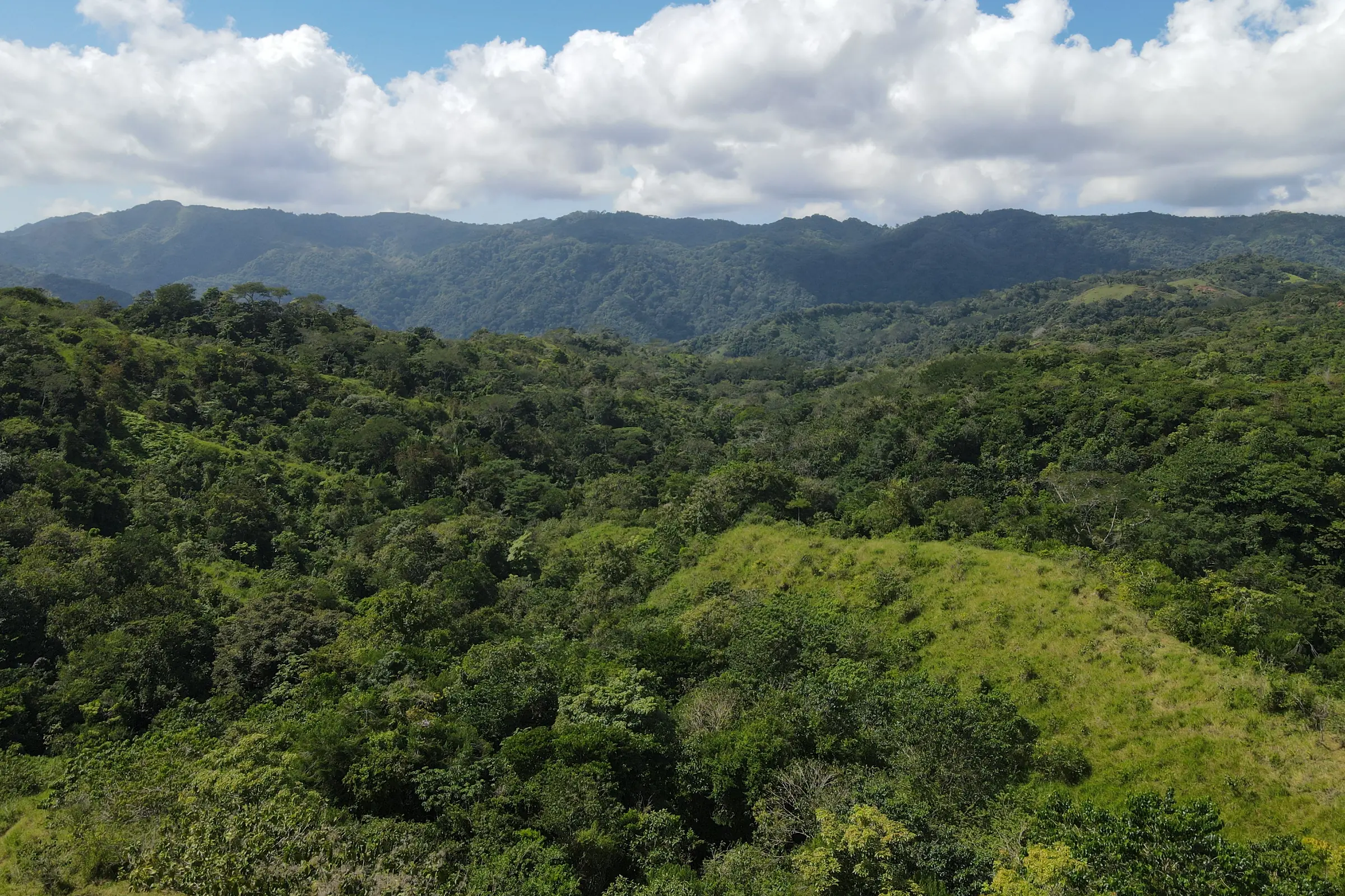 Rainforest and mountains across the land at Libélula