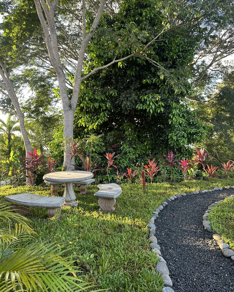 A gravel path and stone benches beneath the trees