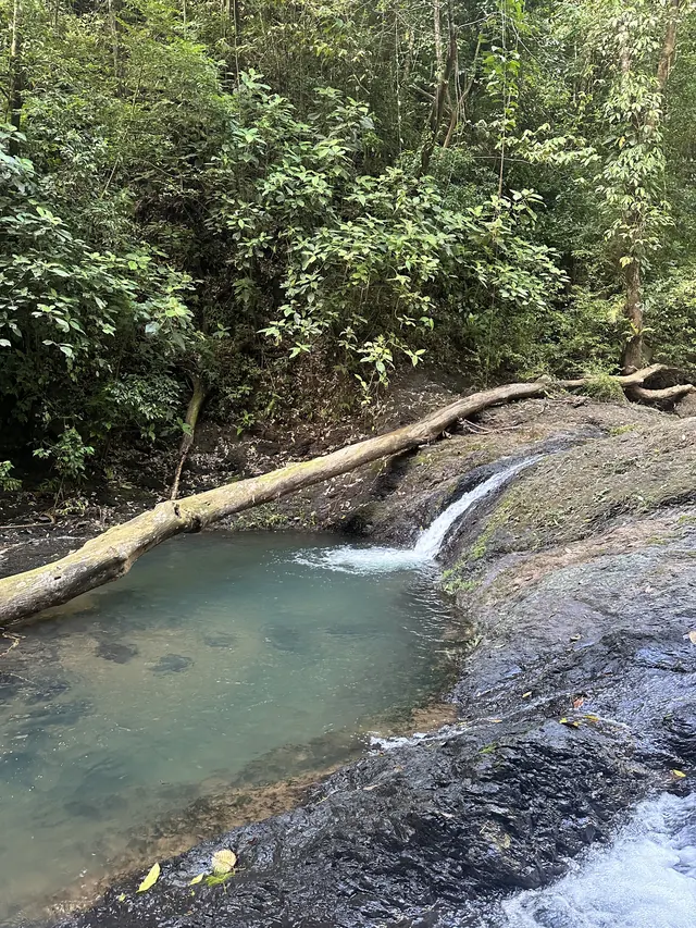 A small waterfall pouring into a clear pool