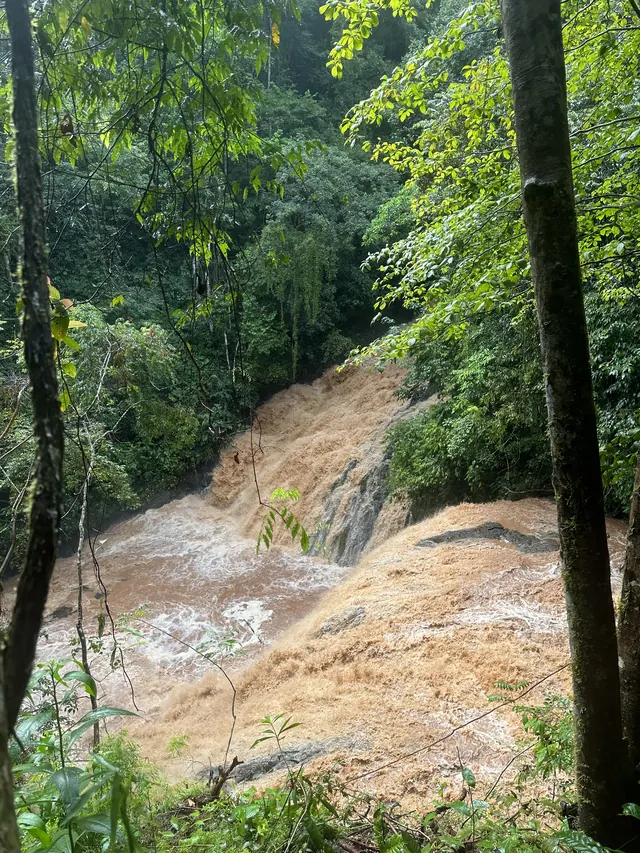 A river running over the rocks in the rainforest