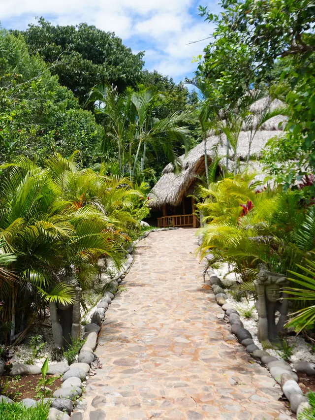 The stone path through the palms to the Maloca
