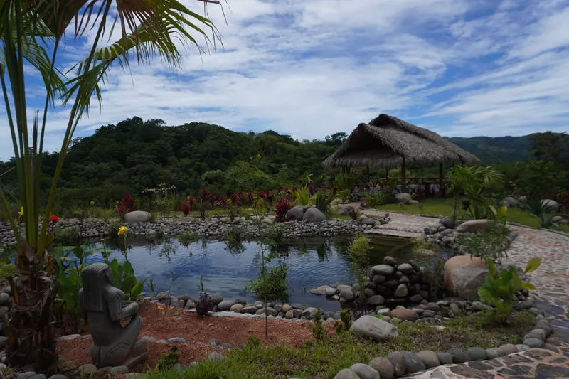 The natural pool, its edges planted and lined with river stones