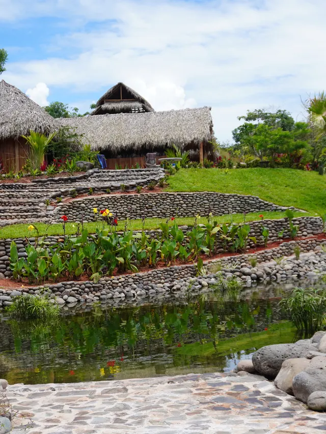 Planted terraces above the pool, the cabins behind