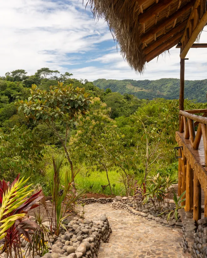 The edge of the shala deck and the forest below