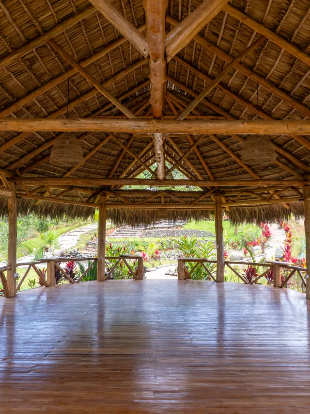 Looking out from the shala over the gardens