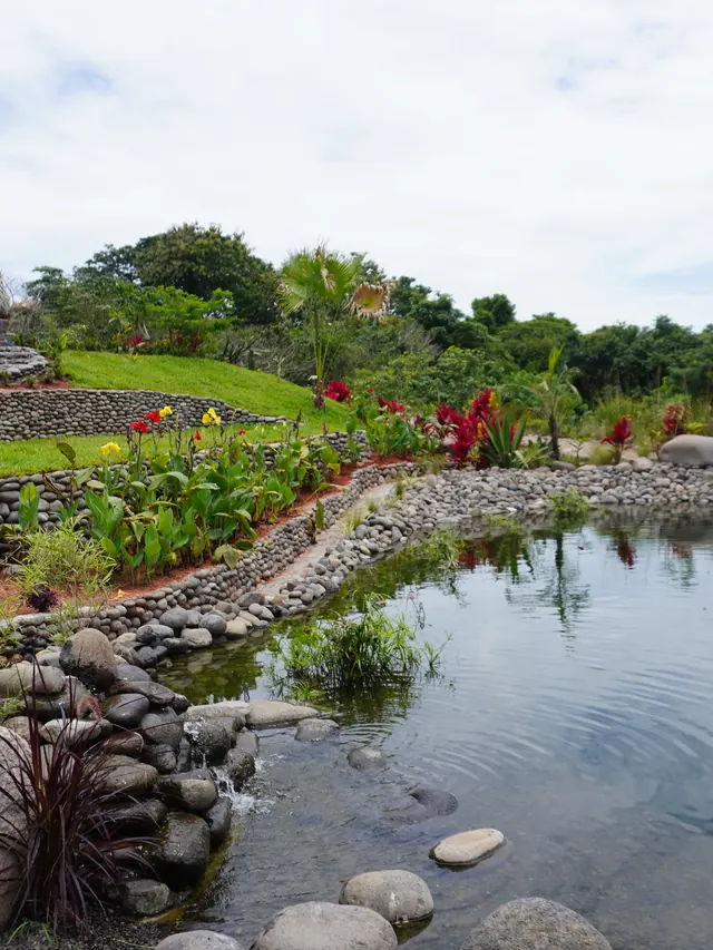 Stones and plants at the edge of the pool