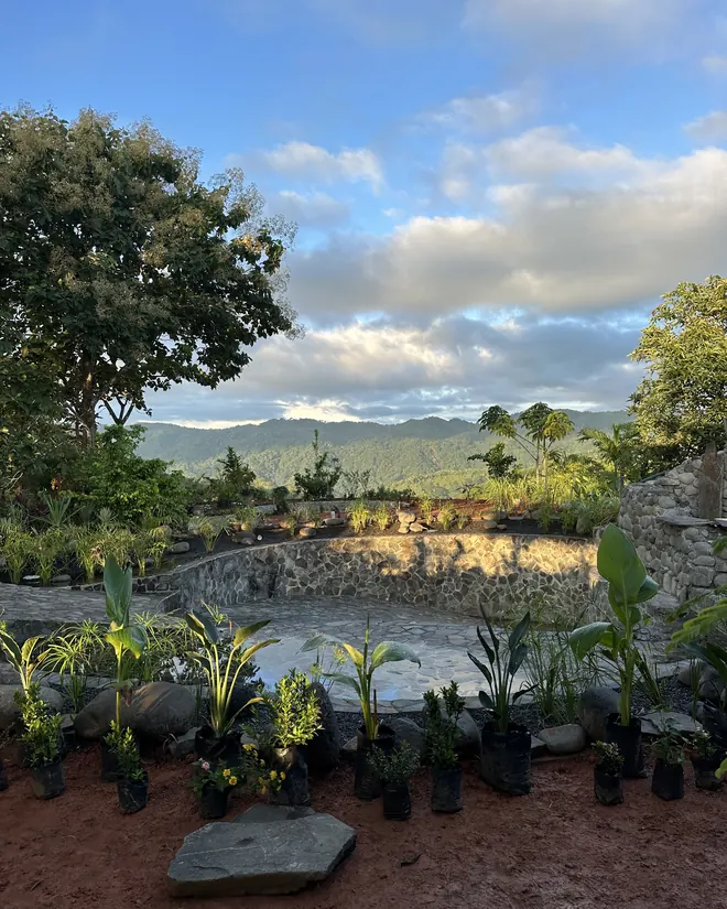Stone walls and the first plants