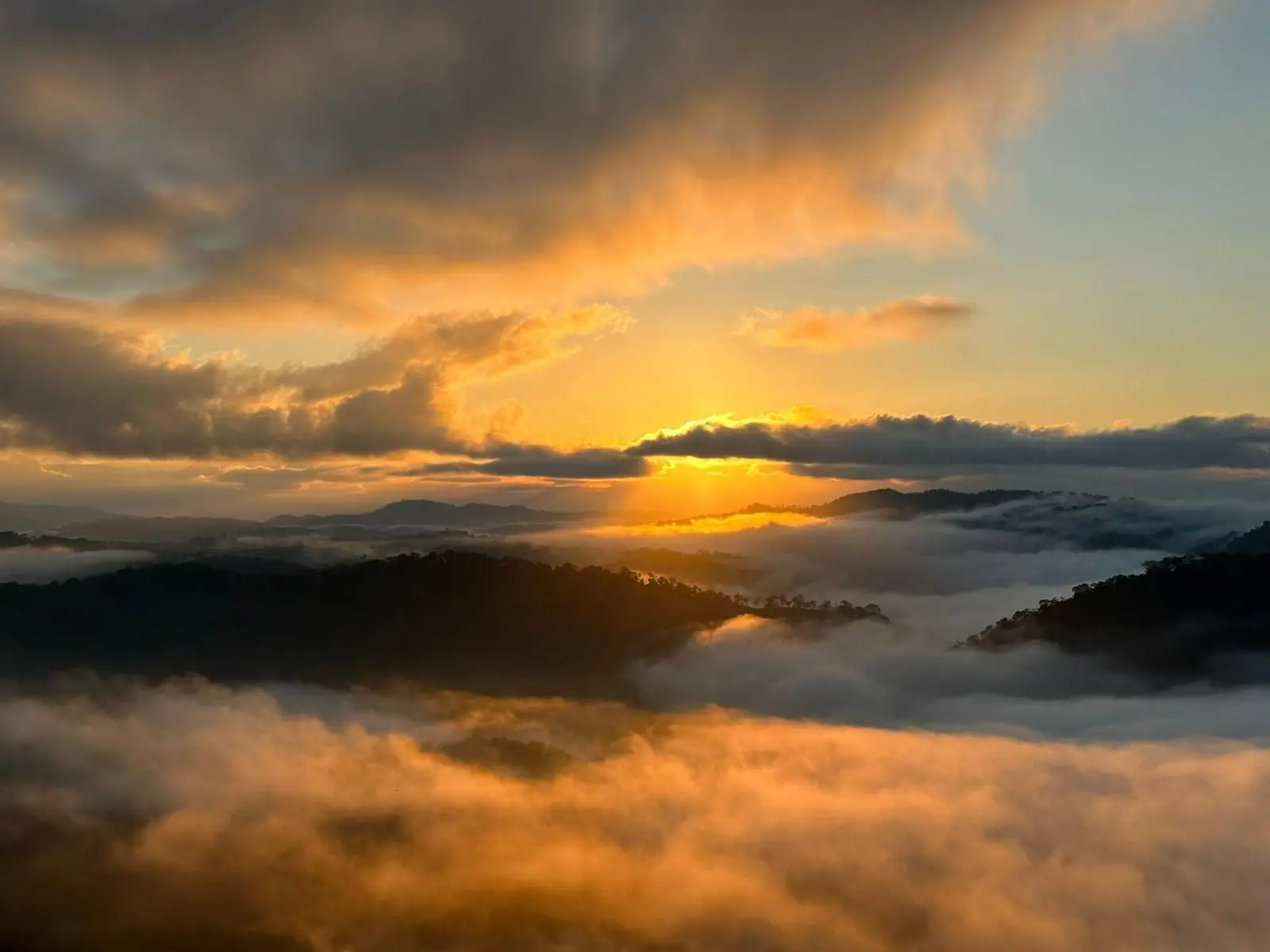 Dawn over the rainforest at Libélula