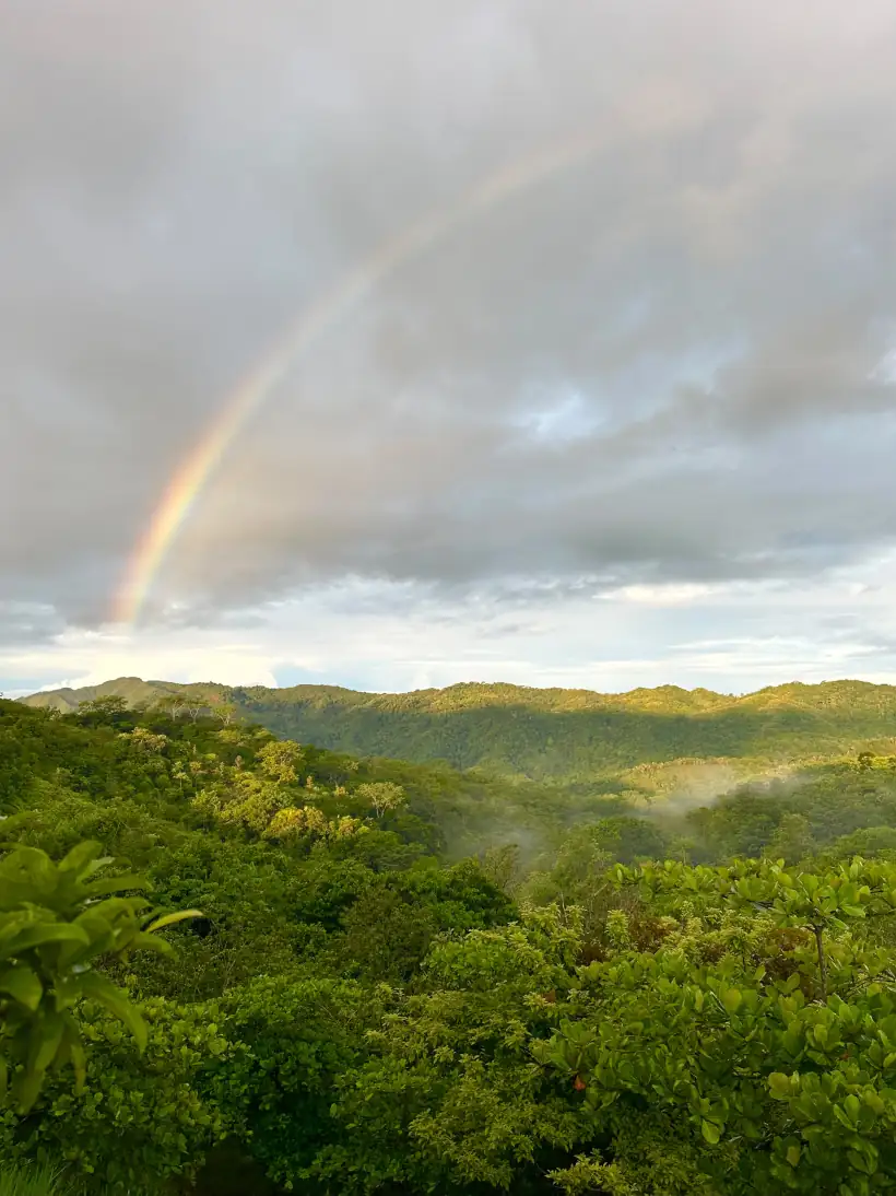 Rainbow over the rainforest valley