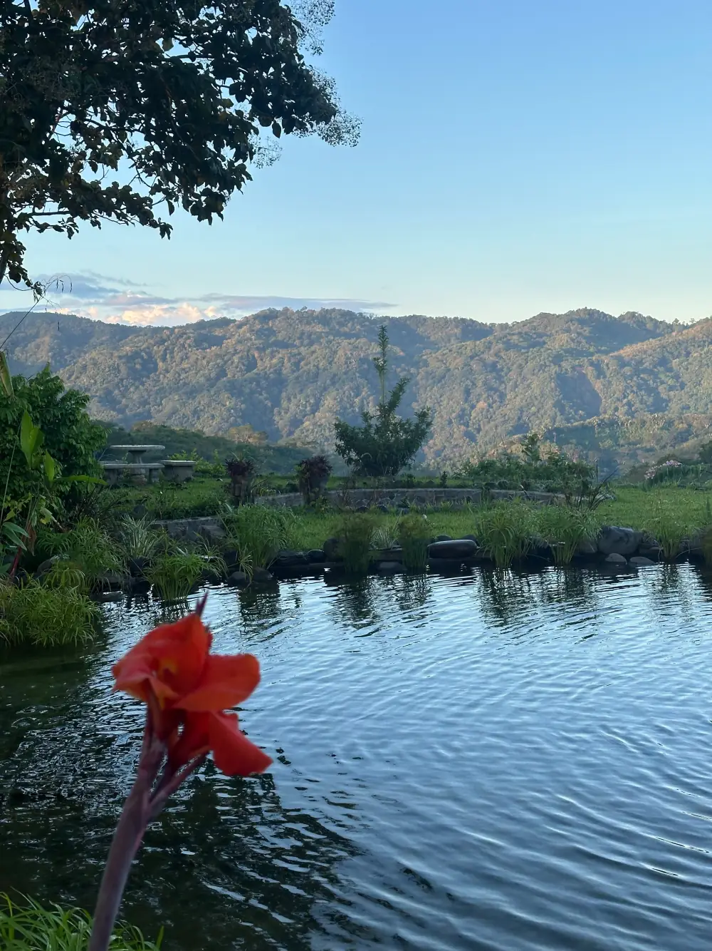 The upper pool and the mountains, a red flower in front