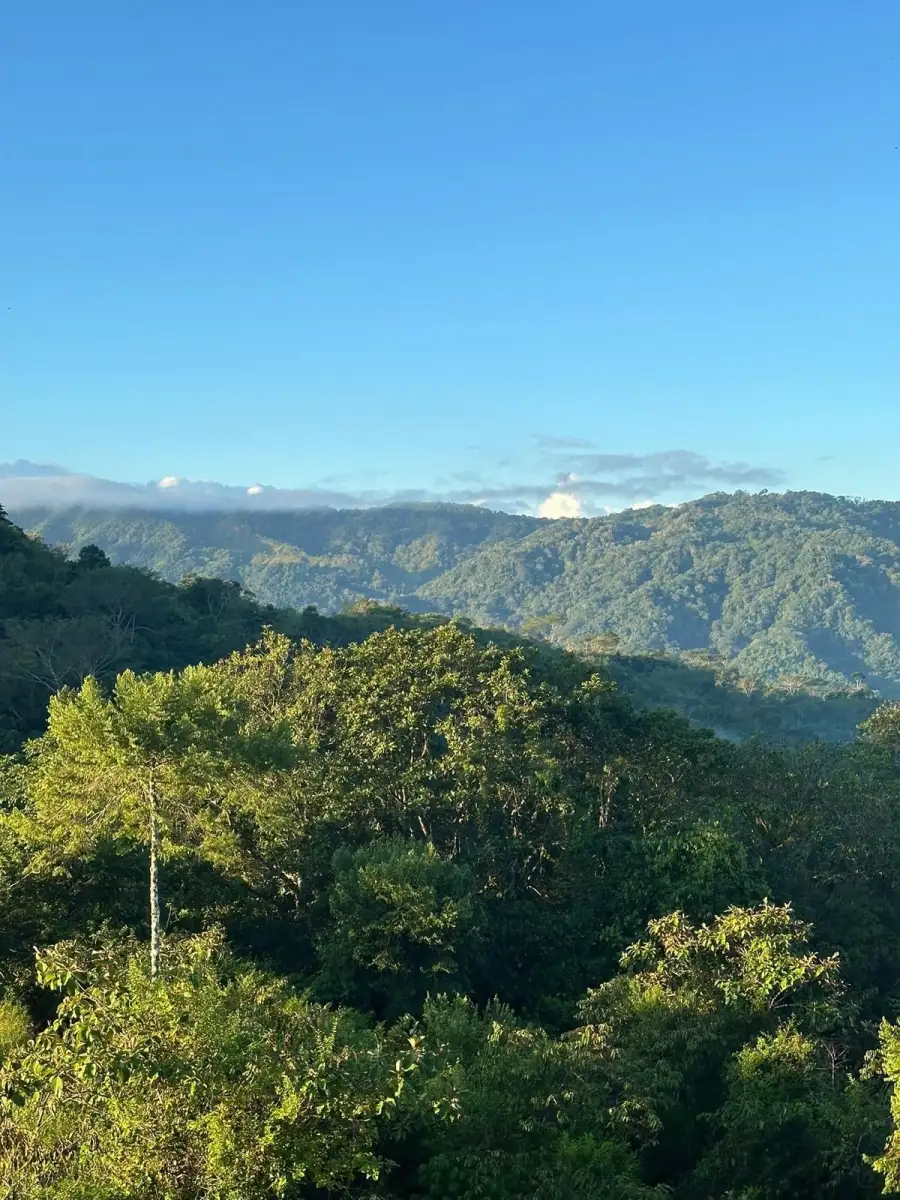 Rainforest ridges above the valley