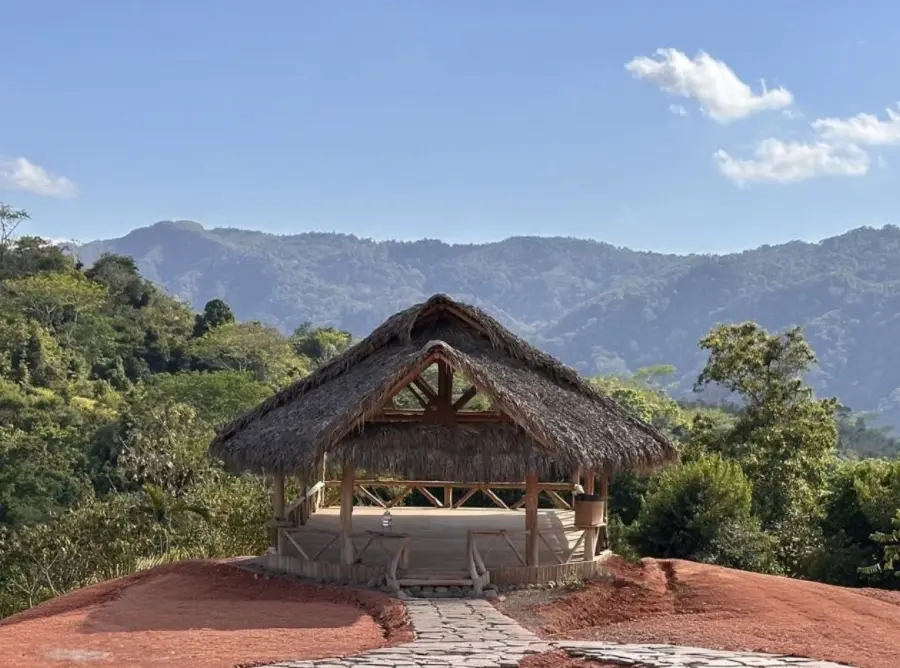The yoga shala, open to the canopy