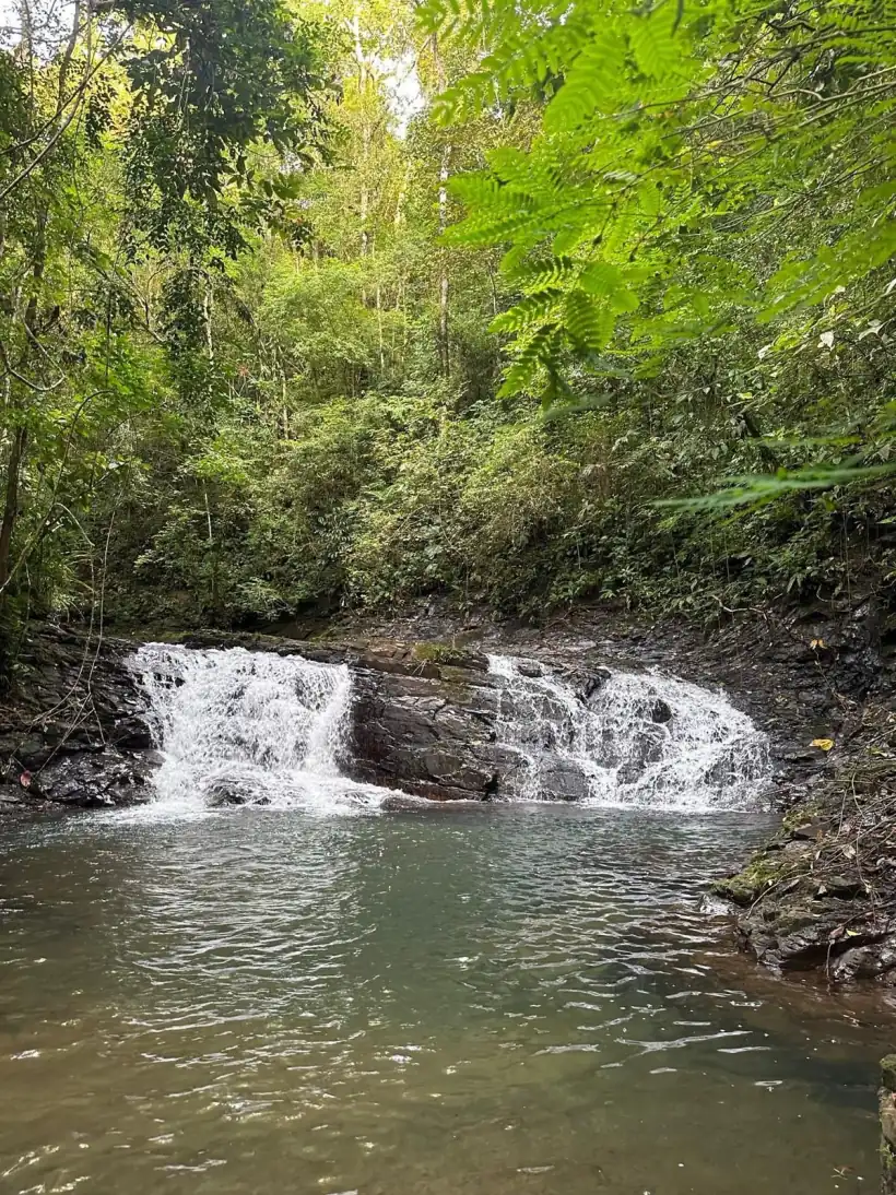 Waterfall and swimming hole on the land
