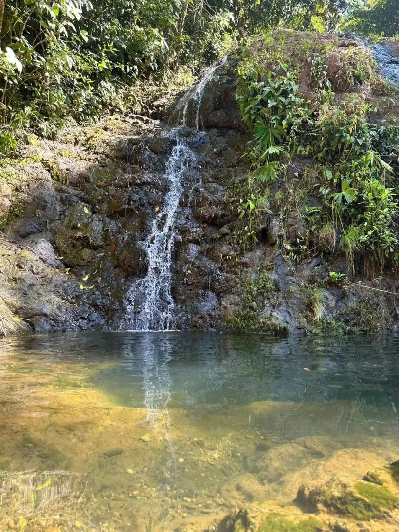 Waterfall pool in the forest