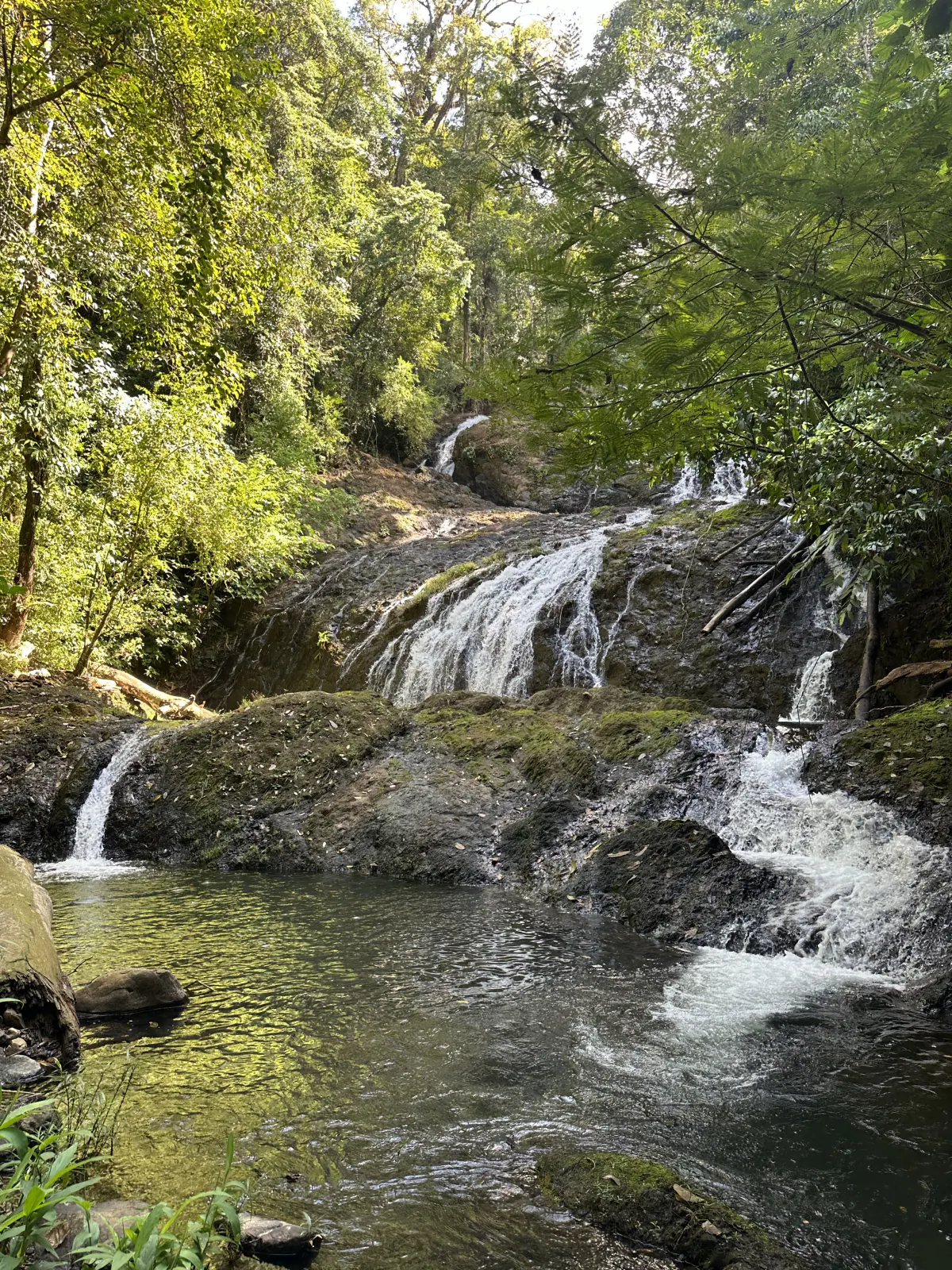 One of seven waterfalls on the land