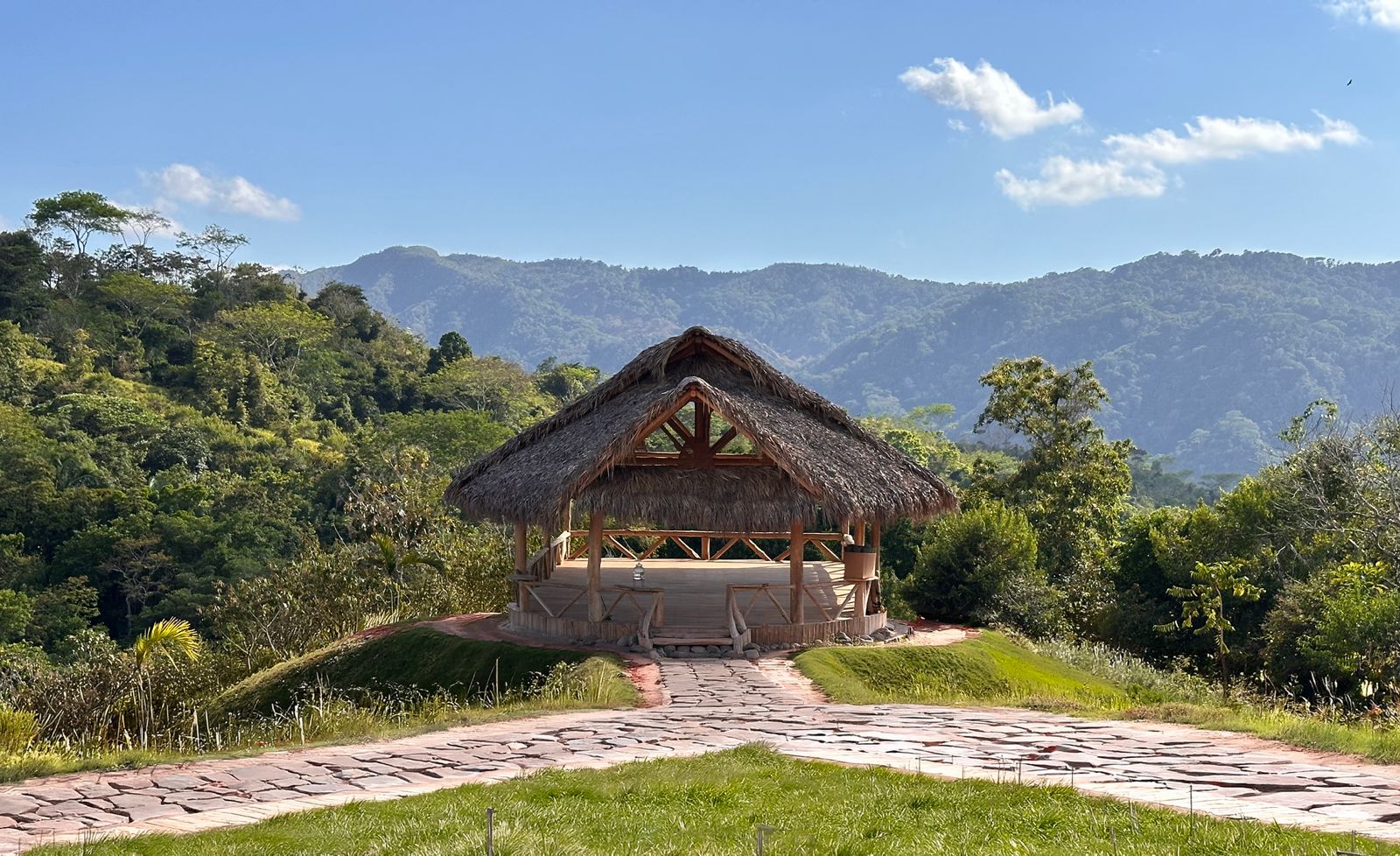 Yoga Shala — open to the forest at sunrise